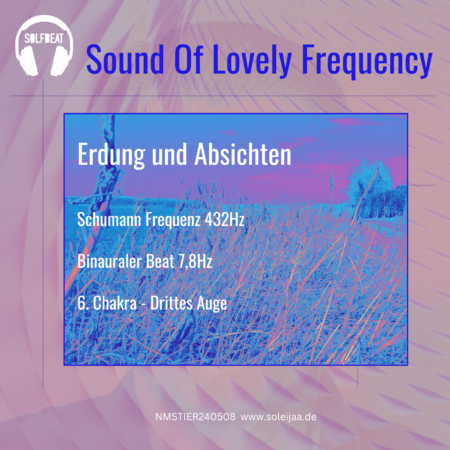 Erdung und Absichten